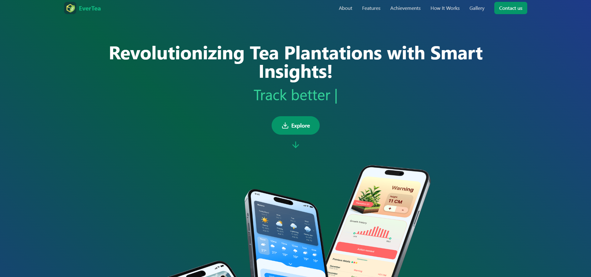 Evertea
